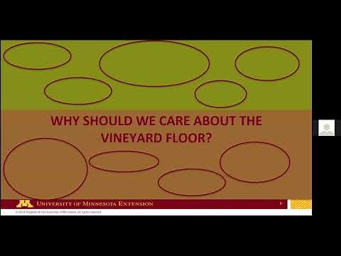 What's on your Orchard Floor? Managing Groundcovers and Under-Row Cover Crops.