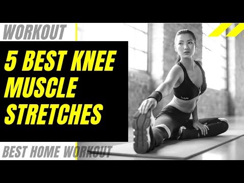 Top Stretching Exercises for Knee Muscles | Reduce Pain & Improve Flexibility
