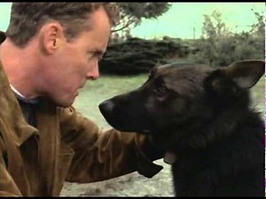 Wolf track from "Intensity" movie