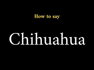 How to Pronounce Chihuahua (Dog Breed)