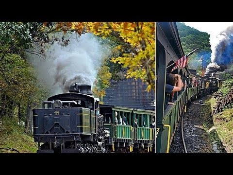 Why You Get 'Access Denied' Online: Explained!