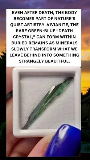 Even in Death, Nature Creates Beauty 💙 The Mystery of Vivianite