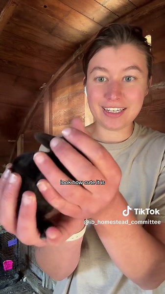 #fy #fyp #farm #farmer #farming #farmstead #homestead #urbanhomestead #homesteading #rabbitbreeders #rabbitbreeder #rexrabbit #meatrabbit #showrabbit #farm #farmer #farming #farmstead #homestead #urbanhomestead #homesteading #sustainable #sustainability #educational #food #meat #butcher #homegrown #prepper #4h #ffa #arba #ag #agtok #ethical #ethicalbreeder #ethicalbreeding