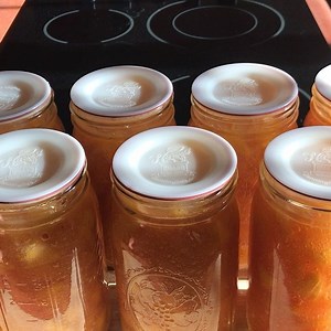 51 reactions · 9 comments | The morning after canning our delicious peach pie filling. All the jars sealed, as evidenced by the “lifting” test. | Harvest Guard Reusable Canning Lids | Facebook