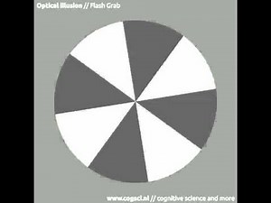 Optical illusion: Flash Grab
