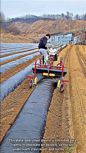 Ground Locking Technique in Automatic Plastic Bed Installation
