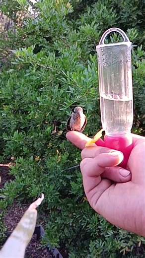 That look after landing