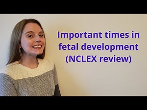 IMPORTANT WEEKS IN FETAL DEVELOPMENT | NCLEX REVIEW