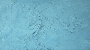 Yellowstone Bison Death Reveals Hidden Perils of Super Heated Hot Springs