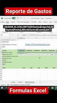 Expense Report with Excel Formulas #excelexpenses #excel #exceltips #advancedexcel