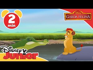 Garda Felină - Zi frumoasă - cântec. Doar la Disney Junior!