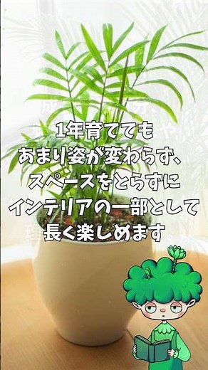 「成長が ゆっくり！？ だから 初心者向き」 #観葉植物 #テーブルヤシ #雑学