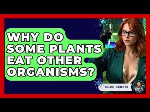 Why Do Some Plants Eat Other Organisms? - Strange Science HQ