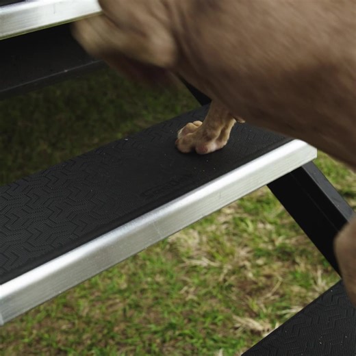 2.1K views · 64 reactions | Hey, we saw you eyeballing that. You know, THAT. ️ Get it for 15% off before our sale ends on 3/22. *Excludes all custom orders | SeaDek | Facebook