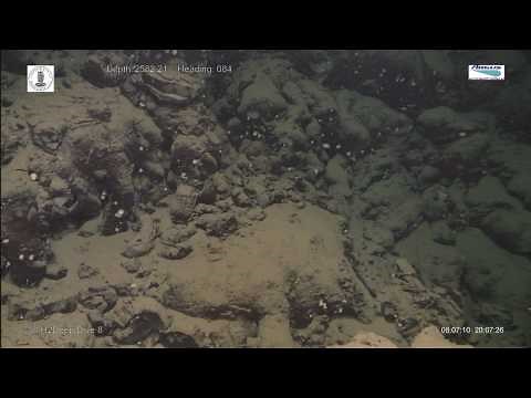 Pillow Lava Deep Sea
