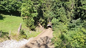 🌲🌲 | Harvester Forwarder & More