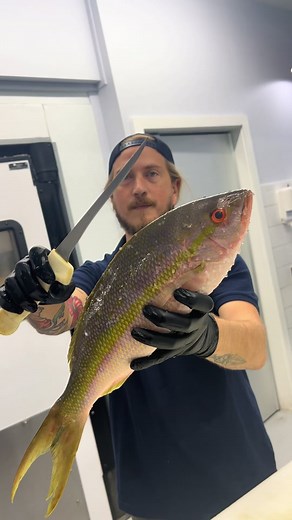 Need more details on any of the steps? I’ve covered dozens of species on my YouTube channel. Reed The Fishmonger 🔪Cut with my 7inch Sani-Safe Flexible Fillet Knife. Code reed20 for 20% off @Dexter Outdoors 🔪