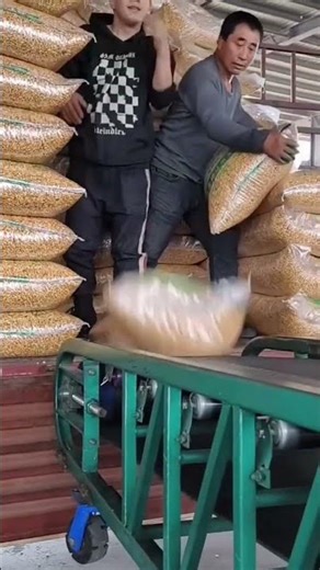 This is one way to move sacks into a truck using modern machinery.