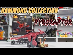 Hammond Collection Pyroraptor Unboxing and Review