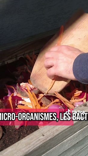 🌿 Tout savoir sur le compostage ! 🌿 Le compostage est une méthode naturelle et écologique pour deux choses : recycler vos déchets organiques et enrichir votre sol. Voici ce qu’il faut savoir ! Les méthodes de compostage 🌱 - Compostage en tas : directement sur le sol, idéal pour les grands jardins. - Compostage en bac : plus organisé et pratique pour les petits espaces. - Lombricompostage : utilisation de vers pour accélérer la décomposition. - Compostage en surface : décomposition lente sur l