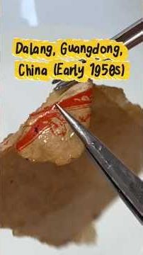 soaking a Block of Four 1950s stamp