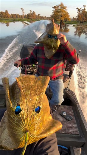 66K views · 649 reactions | Happy Halloween   | FirstCastCabin | Facebook