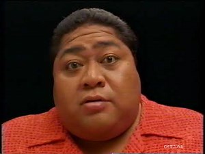 【CM 2000年】三洋電機 サンヨー 超音波で洗おう 小錦