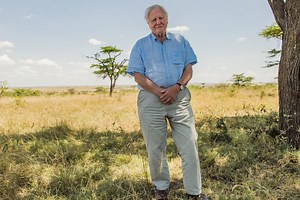 David Attenborough: A Life On Our Planet - trailer