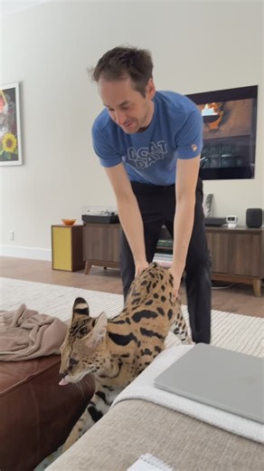 Chloe Jade on Instagram: "she can only handle so much "