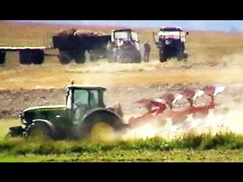 Traktory w Akcji Na Polu - Oranie Pola Po Żniwach - Maszyny Rolnicze w Akcji Na Wsi w Polsce