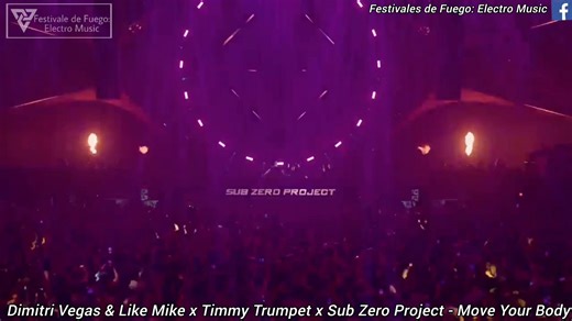 6.2K views · 297 reactions | Sub Zero Project - Reverze 2025 (Drops Only) | Festivales De Fuego: Electro Music | Facebook