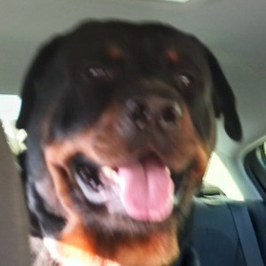 isaiah_is_him_ - Twitch