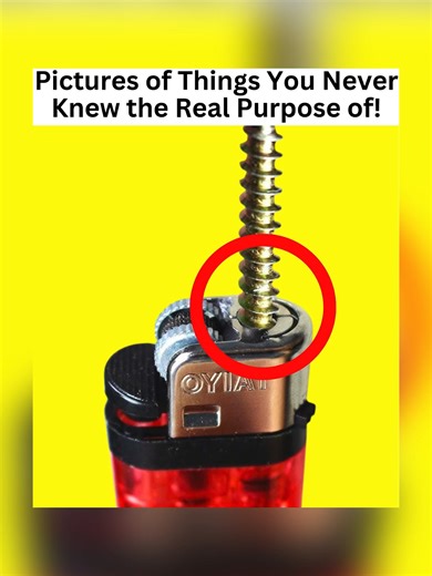 Uncover Hidden Purposes of Everyday Items