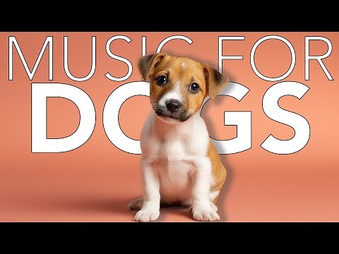 10 HOURS of Dog Relaxing Music 💖🦮 Soothing Sounds for Dogs: Calm Sleep, Peace, and Relaxation