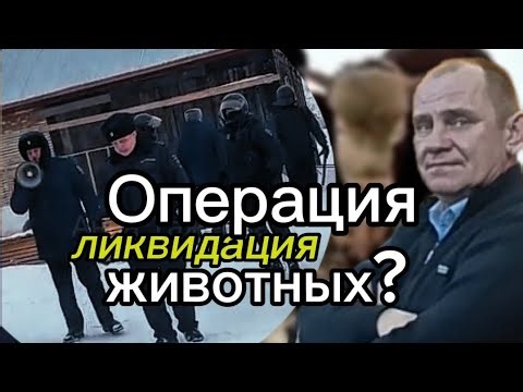 The district head brought security forces and veterinarians to the owner to destroy 200 animals?