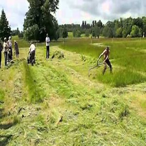 69K views · 89 reactions | BCS mower vs scythe 2012 Join GR: Heavy Equipment  | Snow Queen | Facebook