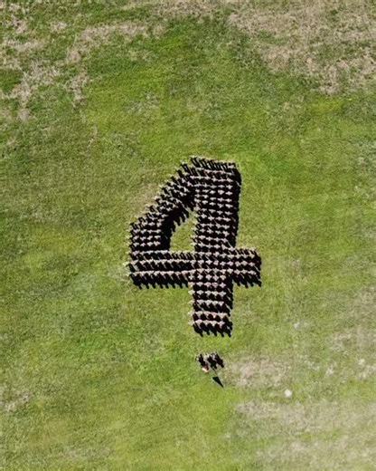 MP Bat 4 | Tradition, Einsatz und Wandel Seit seinem ersten Wiederholungskurs im Jahr 2018 steht das MP Bat 4 für Professionalität, Flexibilität und den Willen, jeden Auftrag zuverlässig zu erfüllen – auch unter schwierigen Umständen. Vom chaotischen Start 2018, über Einsätze mit zivilen Partnern, Ausbildung unter Pandemiebedingungen, bis hin zu realitätsnahen Einsätzen und internationalem Austausch: Das Bataillon hat sich stetig weiterentwickelt und Spuren hinterlassen. Im letzten FDT 2025 bewi