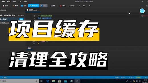 10.如何清理项目