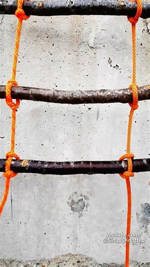 How to turn random sticks into a heavy-duty escape ladder! 🪜🪵⚡