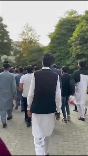 Understanding MSU Account Issues and Solutions