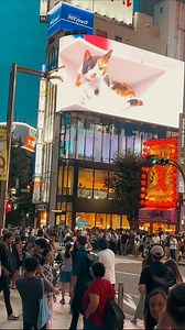 The popular place in Tokyo’s Shinjuku🇯🇵❤️✈️ #japan | LIFE of JAPAN 日本の生活