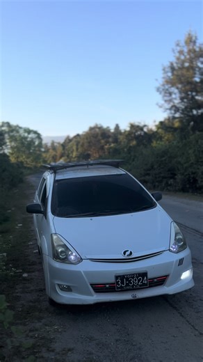 Exploring the Toyota Wish: A Young Enthusiast's Journey