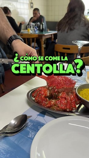 Probando la centolla: La experiencia culinaria perfecta