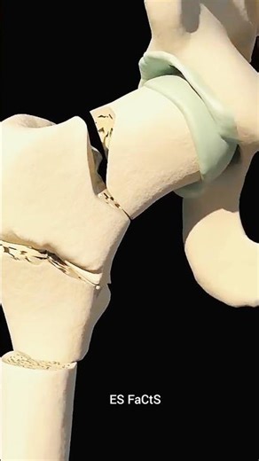 The Real Reason You Get White Spots on Your Nails | Facts #shorts