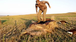 10K views · 421 reactions | There is a reason why this blind is loved by so many people. Josh from @outdoor.limits gives the rundown on the Knockout Layout Blind. If you want to learn more, head over to fabrand.com #fabrand #finalapproach #waterfowl #duckhunting #hunting #waterfowlhunting #goosehunting #ducks | Final Approach Waterfowl | Facebook