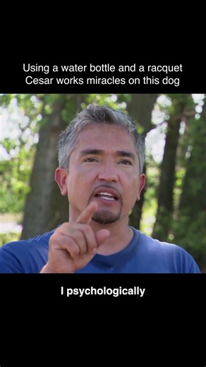 Water Bottle Tennis Combo Beats Dog