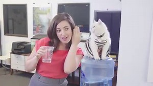 Pet Peeves - Office Edition w/ Ashley Bornancin | Aaron's Animals