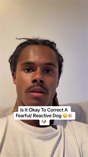 Is It Okay To Correct A Fearful/ Reactive Dog 😲💥🐶