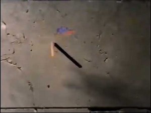 PTV PARK Program Break (WTTW-TV 1999) Incomplete