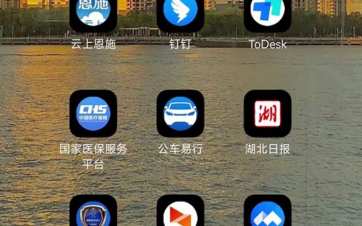 基本医疗保险参保登记（国家医保服务平台）操作视频